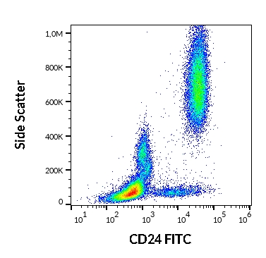 Anti-Hu CD24 FITC