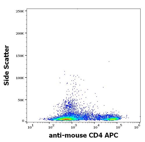 Anti-Ms CD4 APC