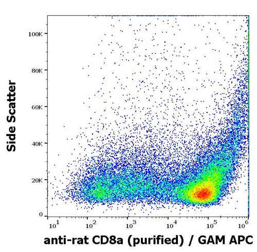 Anti-Rt CD8a Purified Low Endotoxin