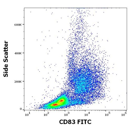 Anti-Hu CD83 FITC
