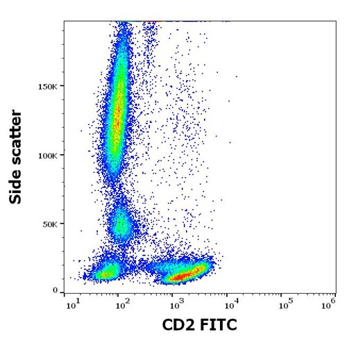 Anti-Hu CD2 FITC