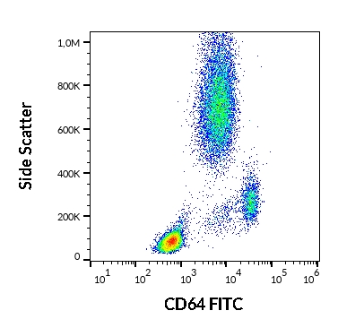 Anti-Hu CD64 FITC