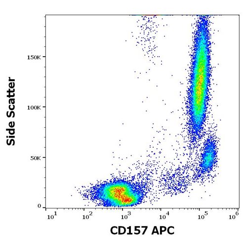 Anti-Hu CD157 APC