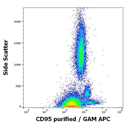 Anti-Hu CD95 Purified