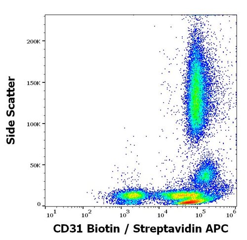 Anti-Hu CD31 Biotin