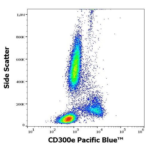 Anti-Hu CD300e Pacific Blue™