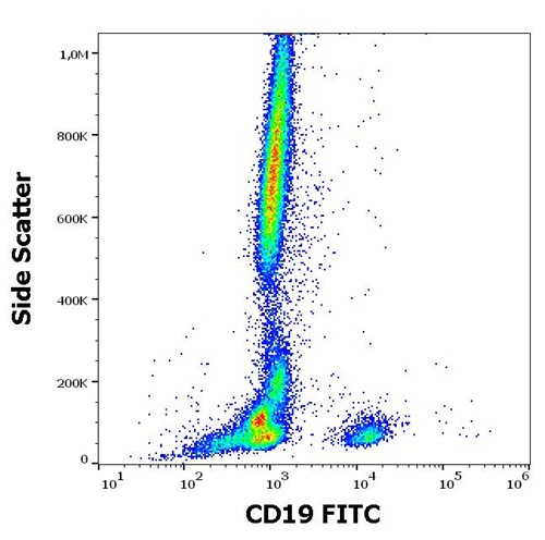 Anti-Hu CD19 FITC