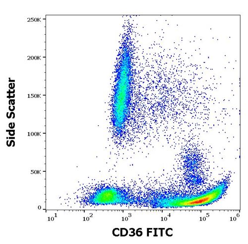 Anti-Hu CD36 FITC