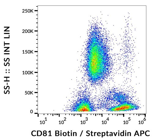 Anti-Hu CD81 Biotin