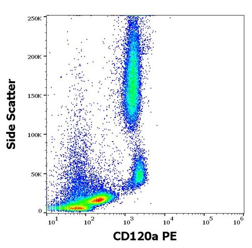 Anti-Hu CD120a PE