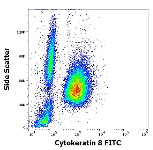 Anti-Cytokeratin 8 FITC