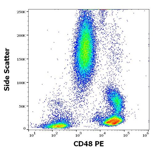Anti-Hu CD48 PE