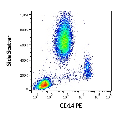 Anti-Hu CD14 PE