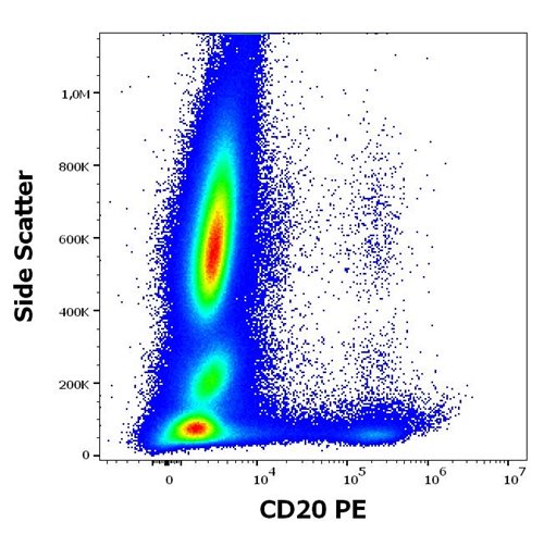 Anti-Hu CD20 PE