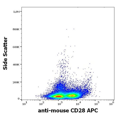 Anti-Ms CD28 APC
