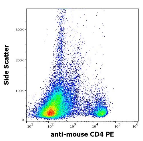 Anti-Ms CD4 PE