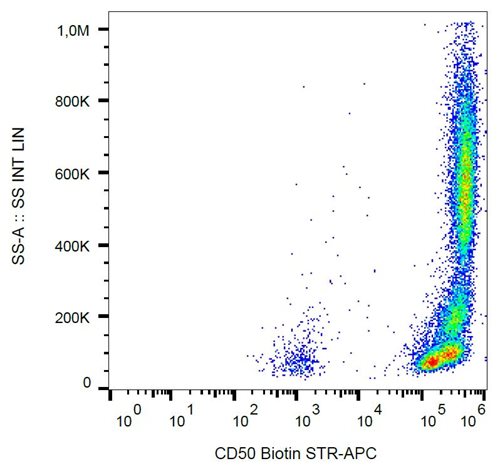 Anti-Hu CD50 Biotin