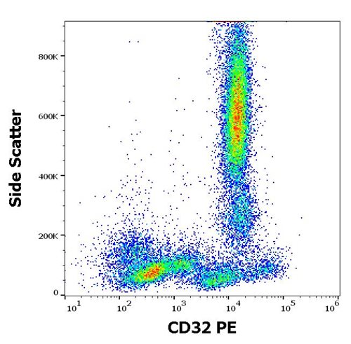 Anti-Hu CD32 PE