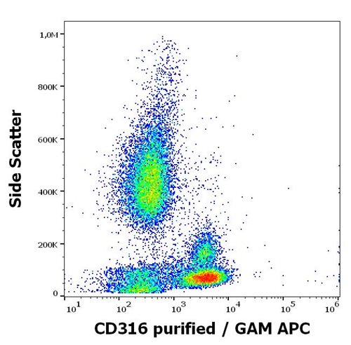 Anti-Hu CD316 Purified