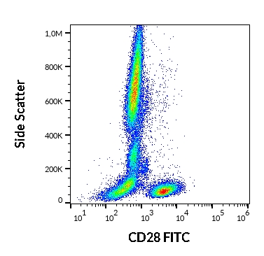 Anti-Hu CD28 FITC