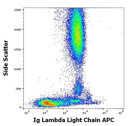 Anti-Hu Ig Lambda Light Chain APC