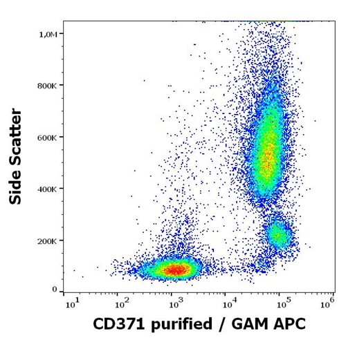 Anti-Hu CD371 Purified