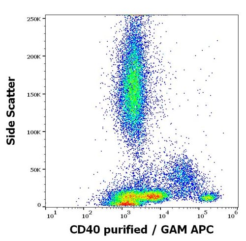 Anti-Hu CD40 Purified Azide Free