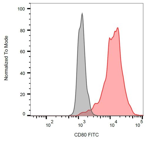 Anti-Hu CD80 FITC