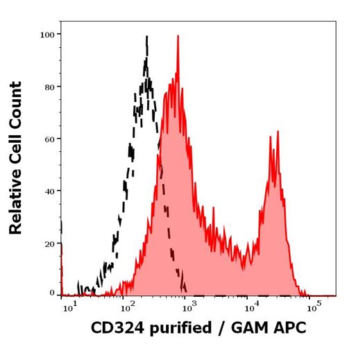 Anti-Hu CD324 Purified