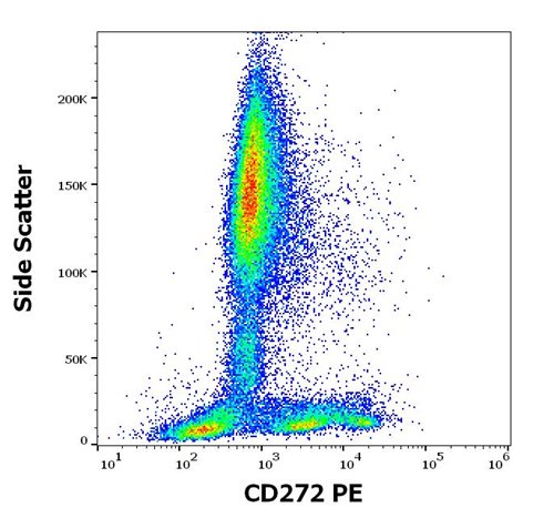 Anti-Hu CD272 PE