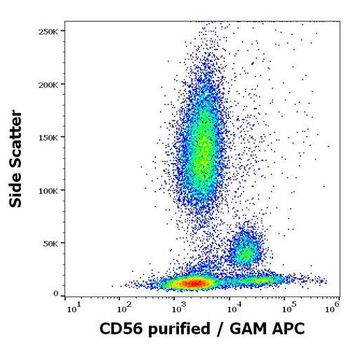 Anti-Hu CD56 Purified