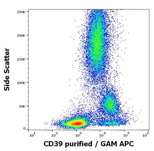 Anti-Hu CD39 Purified