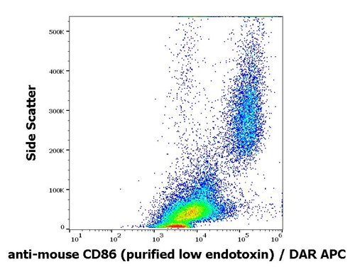 Anti-Ms CD86 Purified Low Endotoxin