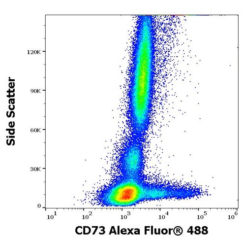 Anti-Hu CD73 Alexa Fluor<sup>®</sup> 647