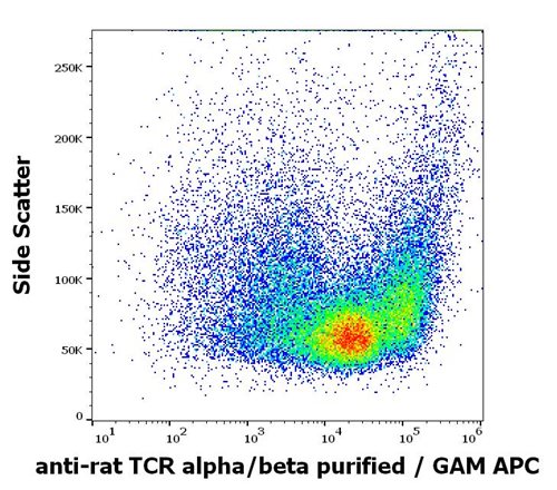 Anti-Rt TCR alpha/beta Purified