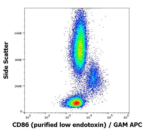 Anti-Hu CD86 Purified Low Endotoxin