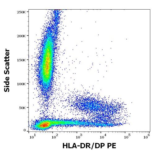 Anti-HLA-DR/DP PE