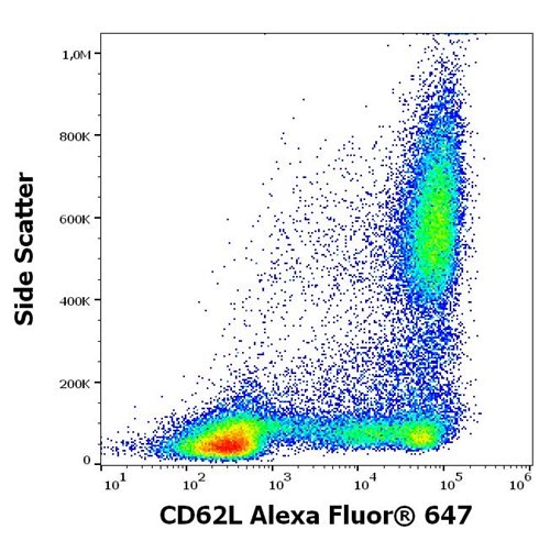 Anti-Hu CD62L Alexa Fluor<sup>®</sup> 647