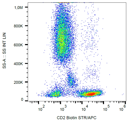 Anti-Hu CD2 Biotin