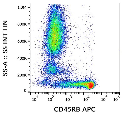 Anti-Hu CD45RB APC