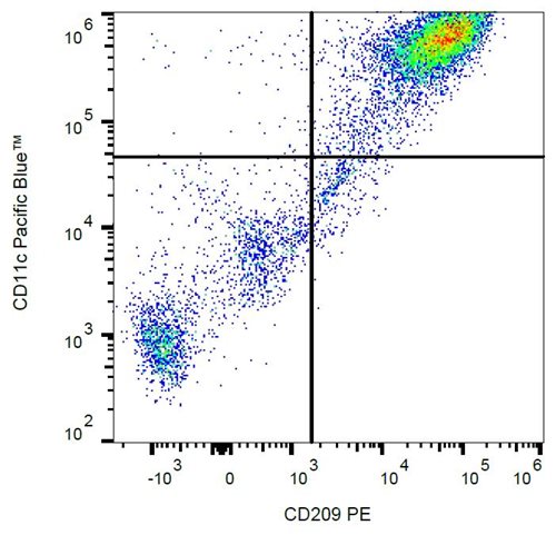 Anti-Hu CD209 PE