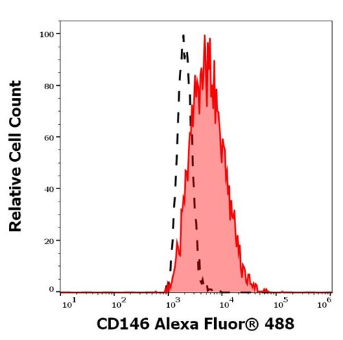 Anti-Hu CD146 Alexa Fluor<sup>®</sup> 488