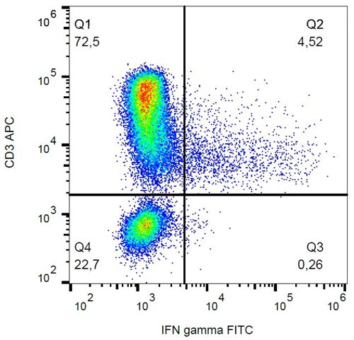 Anti-IFN gamma FITC