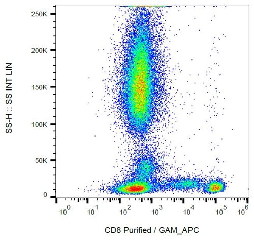 Anti-Hu CD8 Purified