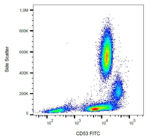 Anti-Hu CD53 FITC