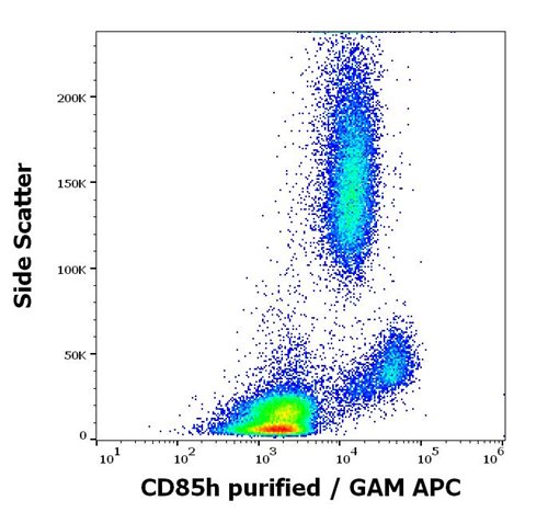 Anti-Hu CD85h Purified