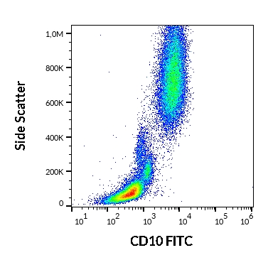 Anti-Hu CD10 FITC