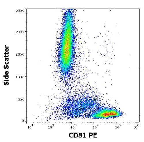 Anti-Hu CD81 PE