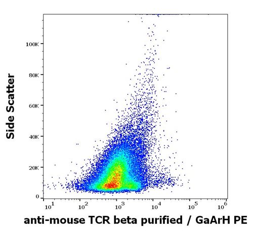 Anti-Ms TCR beta Purified Low Endotoxin