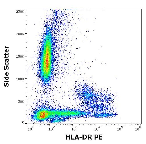 Anti-HLA-DR PE